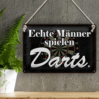 Blechschild Spruch 30x20cm echte Männer spielen Darts