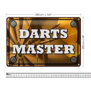 Blechschild Spruch 30x20cm Darts Master Wanddeko