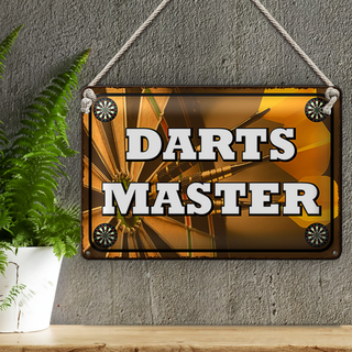 Blechschild Spruch 30x20cm Darts Master Wanddeko