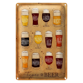 Blechschild Spruch 20x30cm Types of Beer Bier Sorten