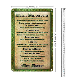 Blechschild Spruch 20x30cm Irish Philosophy there are only