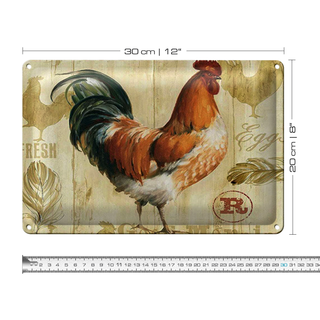 Blechschild Spruch 30x20cm Huhn Hühner Eggs frische Eier