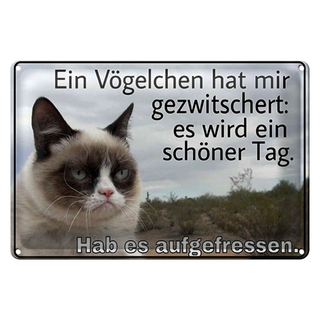 Blechschild Spruch 30x20cm Katze Vögelschen gezwitschert