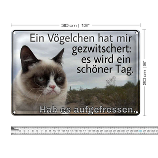 Blechschild Spruch 30x20cm Katze Vögelschen gezwitschert
