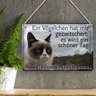 Blechschild Spruch 30x20cm Katze Vögelschen gezwitschert