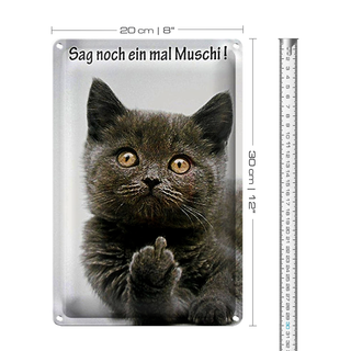 Blechschild Spruch 20x30cm Katze sag noch ein mal Muschi