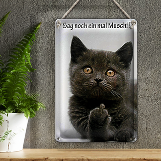 Blechschild Spruch 20x30cm Katze sag noch ein mal Muschi