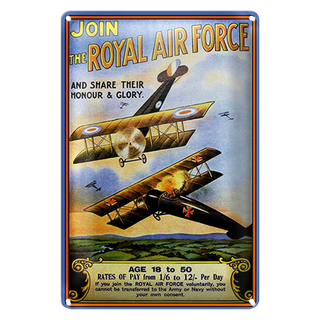 Blechschild Spruch 20x30cm Flugzeug Royal air force Age 18
