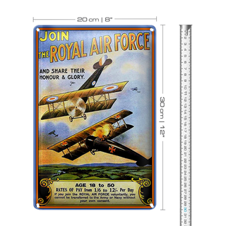 Blechschild Spruch 20x30cm Flugzeug Royal air force Age 18
