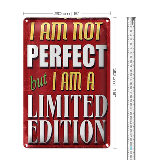 Blechschild Spruch 20x30cm i am not perfect limited edition