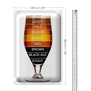 Blechschild Spruch 20x30cm Bier Bierglas lager pale saison