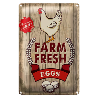 Blechschild Spruch 20x30cm Huhn farm fresh eggs premium