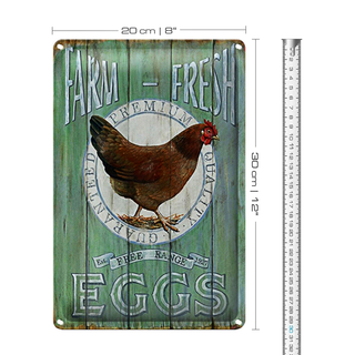 Blechschild Spruch 20x30cm Huhn Farm fresh Eggs free range