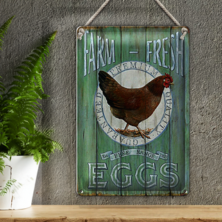 Blechschild Spruch 20x30cm Huhn Farm fresh Eggs free range