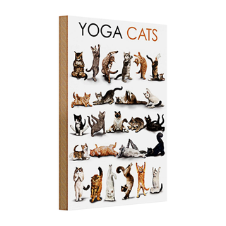 Holzschild Tiere 20x30cm Yoga Cats Katzen