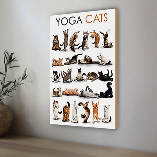 Holzschild Tiere 20x30cm Yoga Cats Katzen