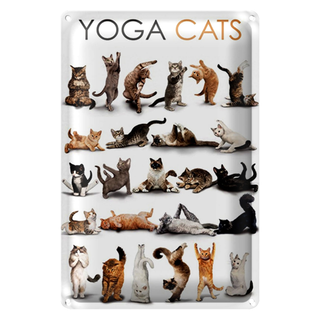 Blechschild Tiere 20x30cm Yoga Cats Katzen