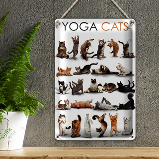 Blechschild Tiere 20x30cm Yoga Cats Katzen