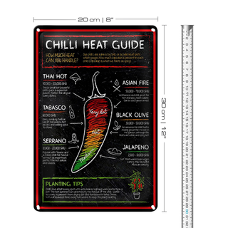 Blechschild Essen 20x30cm Chilli heat guide asian fire thai