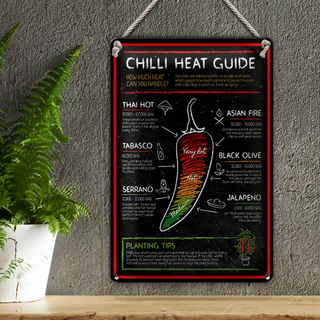 Blechschild Essen 20x30cm Chilli heat guide asian fire thai