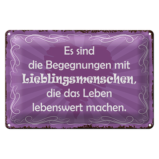 Blechschild Spruch 30x20cm Begegnungen Lieblingsmenschen