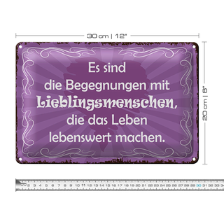Blechschild Spruch 30x20cm Begegnungen Lieblingsmenschen