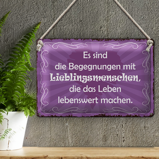 Blechschild Spruch 30x20cm Begegnungen Lieblingsmenschen