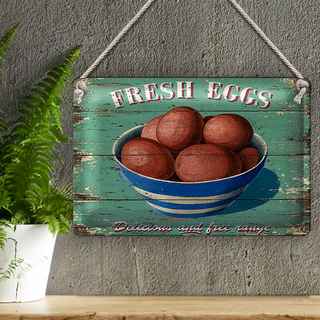 Blechschild Retro 30x20cm fresh eggs Frische Eier