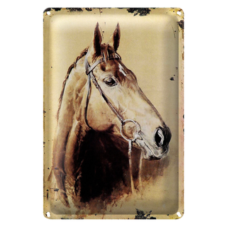 Blechschild Retro 20x30cm Portrait Pferd Kop nachf rechts geneigt