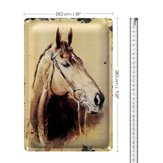 Blechschild Retro 20x30cm Portrait Pferd Kop nachf rechts geneigt