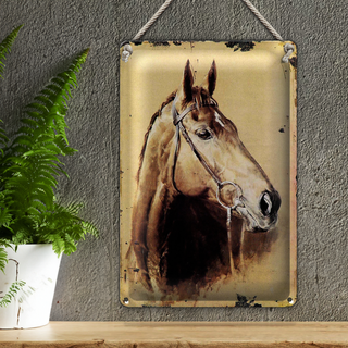 Blechschild Retro 20x30cm Portrait Pferd Kop nachf rechts geneigt