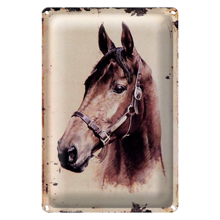 Blechschild Retro 20x30cm Portrait Pferd Kopf nach links geneigt
