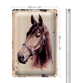Blechschild Retro 20x30cm Portrait Pferd Kopf nach links geneigt