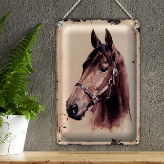 Blechschild Retro 20x30cm Portrait Pferd Kopf nach links geneigt