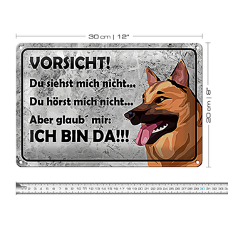 Blechschild Spruch 30x20cm Vorsicht Hund Du siehst mich nicht