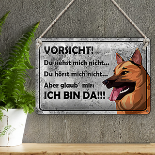 Blechschild Spruch 30x20cm Vorsicht Hund Du siehst mich nicht