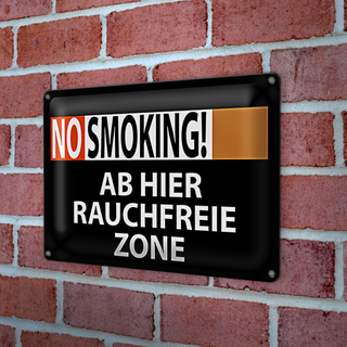 Blechschild Hinweis 30x20cm No Smoking Rauchfreie Zone