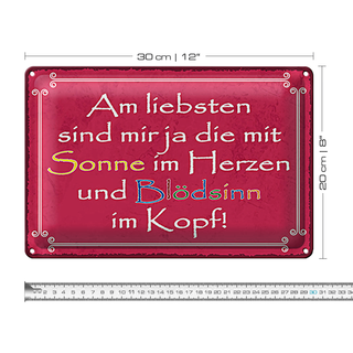 Blechschild Spruch 30x20cm am liebsten sind die mit Sonne
