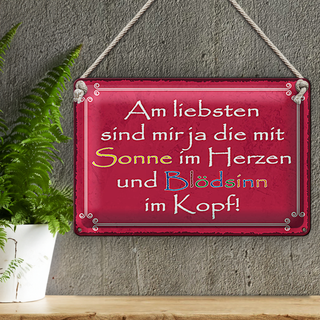 Blechschild Spruch 30x20cm am liebsten sind die mit Sonne