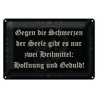 Blechschild Spruch 30x20cm Schmerzen Seele zwei Heilmittel