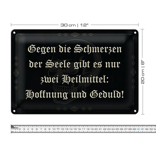 Blechschild Spruch 30x20cm Schmerzen Seele zwei Heilmittel
