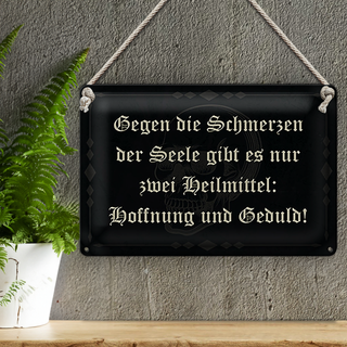 Blechschild Spruch 30x20cm Schmerzen Seele zwei Heilmittel