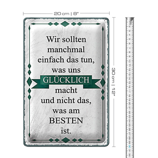 Blechschild Spruch 20x30cm wir sollten tun was glücklich