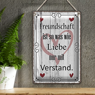 Blechschild Spruch 20x30cm Freundschaft ist so wie Liebe