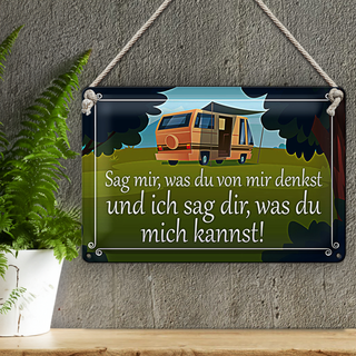 Blechschild Spruch 30x20cm sag mir was du von mir denkst