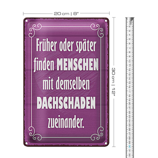 Blechschild Spruch 20x30cm Menschen demselbe Dahschaden