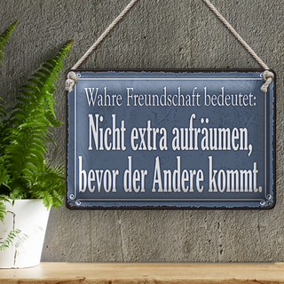 Blechschild Spruch 30x20cm wahre Freundschaft bedeutet