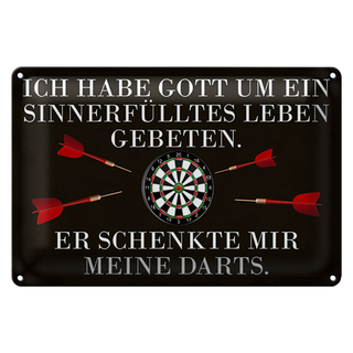 Blechschild Spruch 30x20cm Gott schenkte mir meine Darts