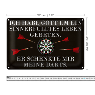 Blechschild Spruch 30x20cm Gott schenkte mir meine Darts