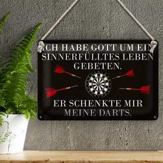 Blechschild Spruch 30x20cm Gott schenkte mir meine Darts